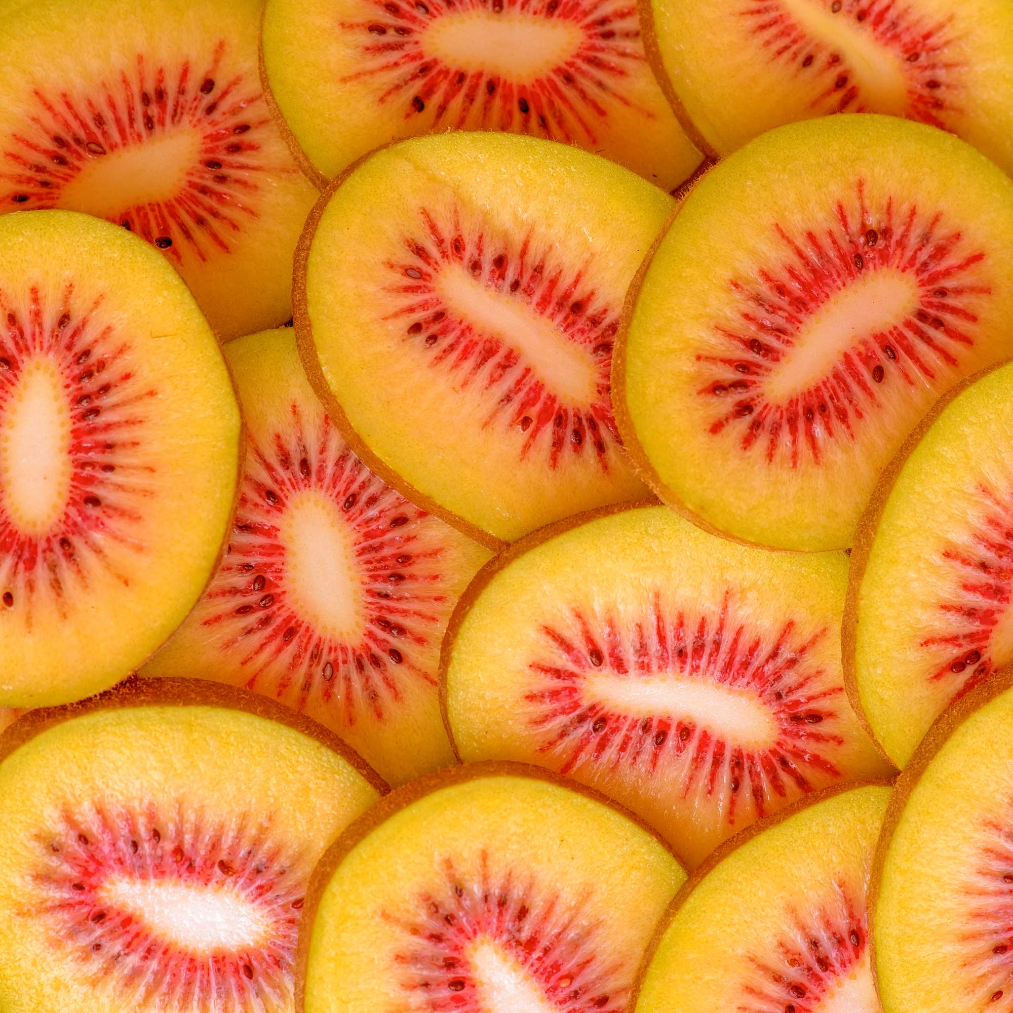 A colourful display of sliced Kiupi red kiwifruit
