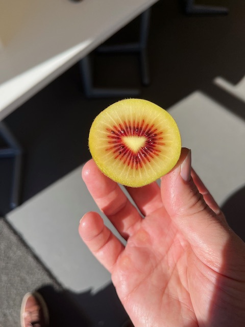 A halved Kiupi kiwifruit held in sunlight